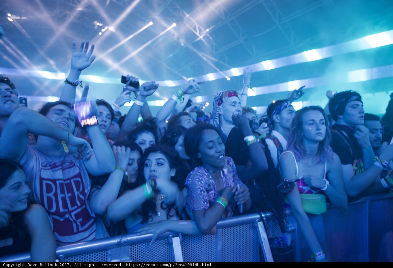 Hands Up for the Nightlife