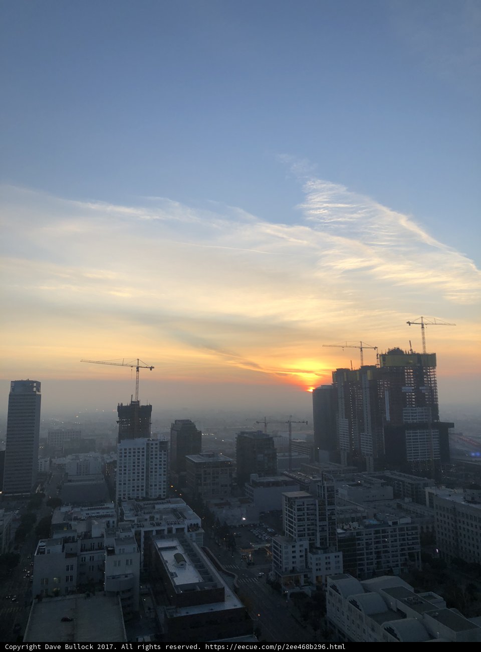 Golden Sunrise over the Urban Jungle