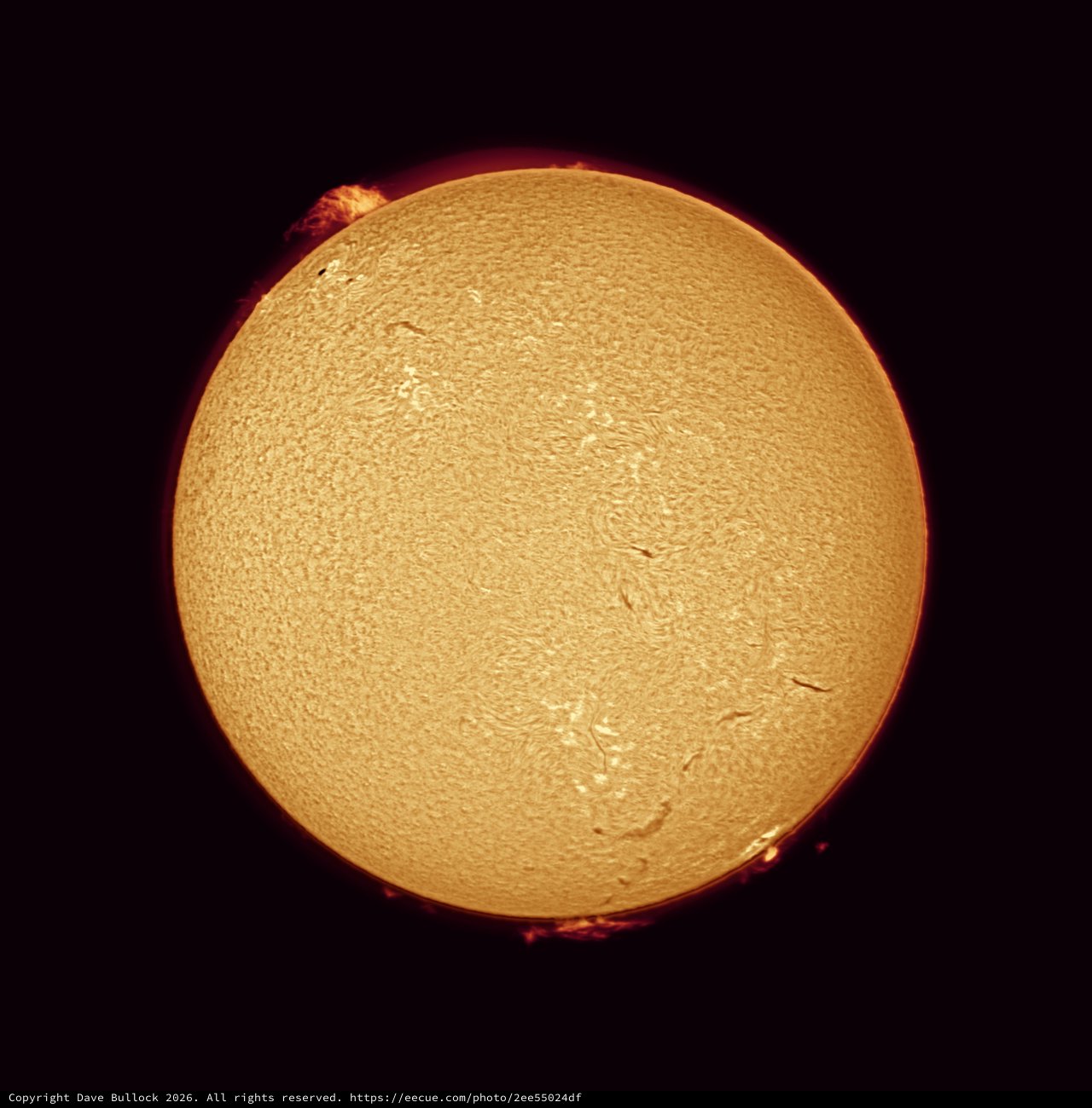 Solar Chromosphere in Hydrogen-Alpha Light