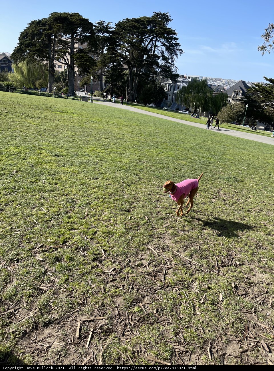 Pretty in Pink