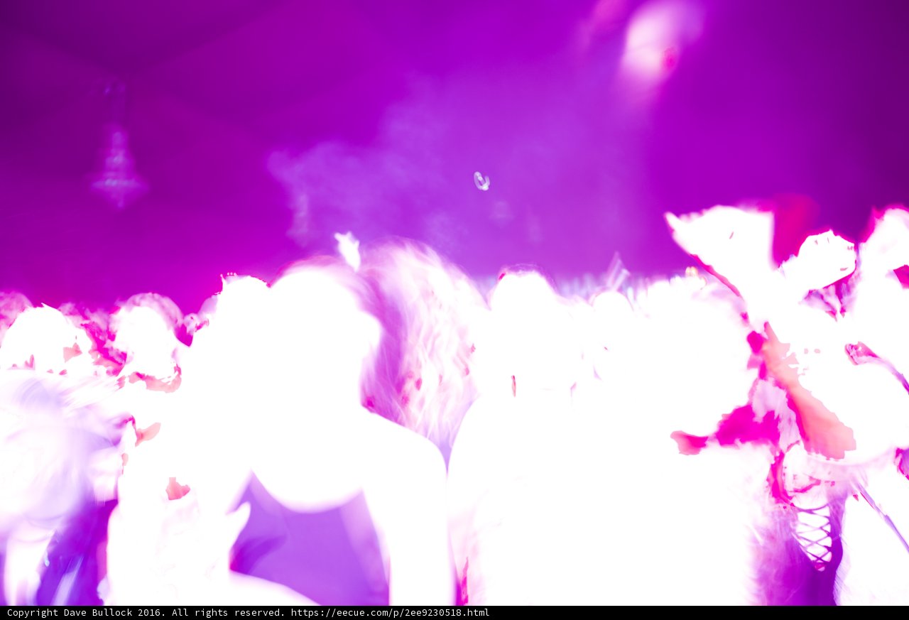 Purple Haze
