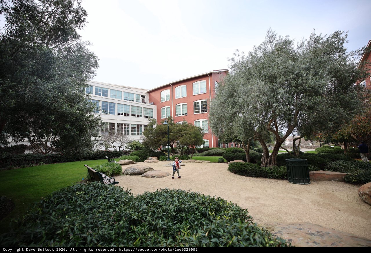 Child Exploring Landscaped Courtyard at Modern Campus