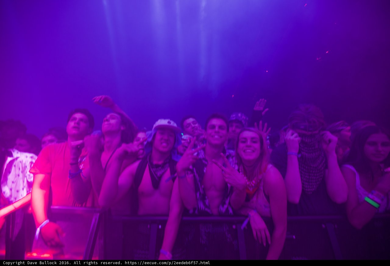 Purple Haze Concert Madness