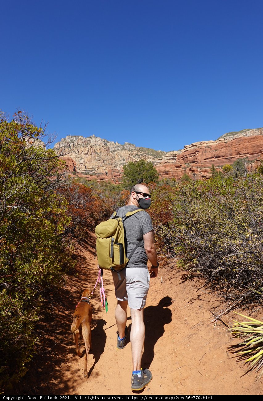 Adventure with My Pup