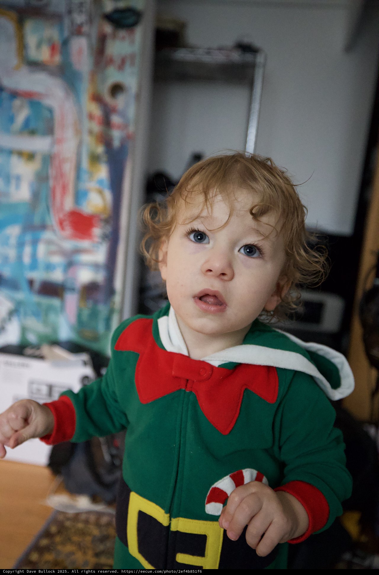 Toddler in Christmas Elf Costume at Home