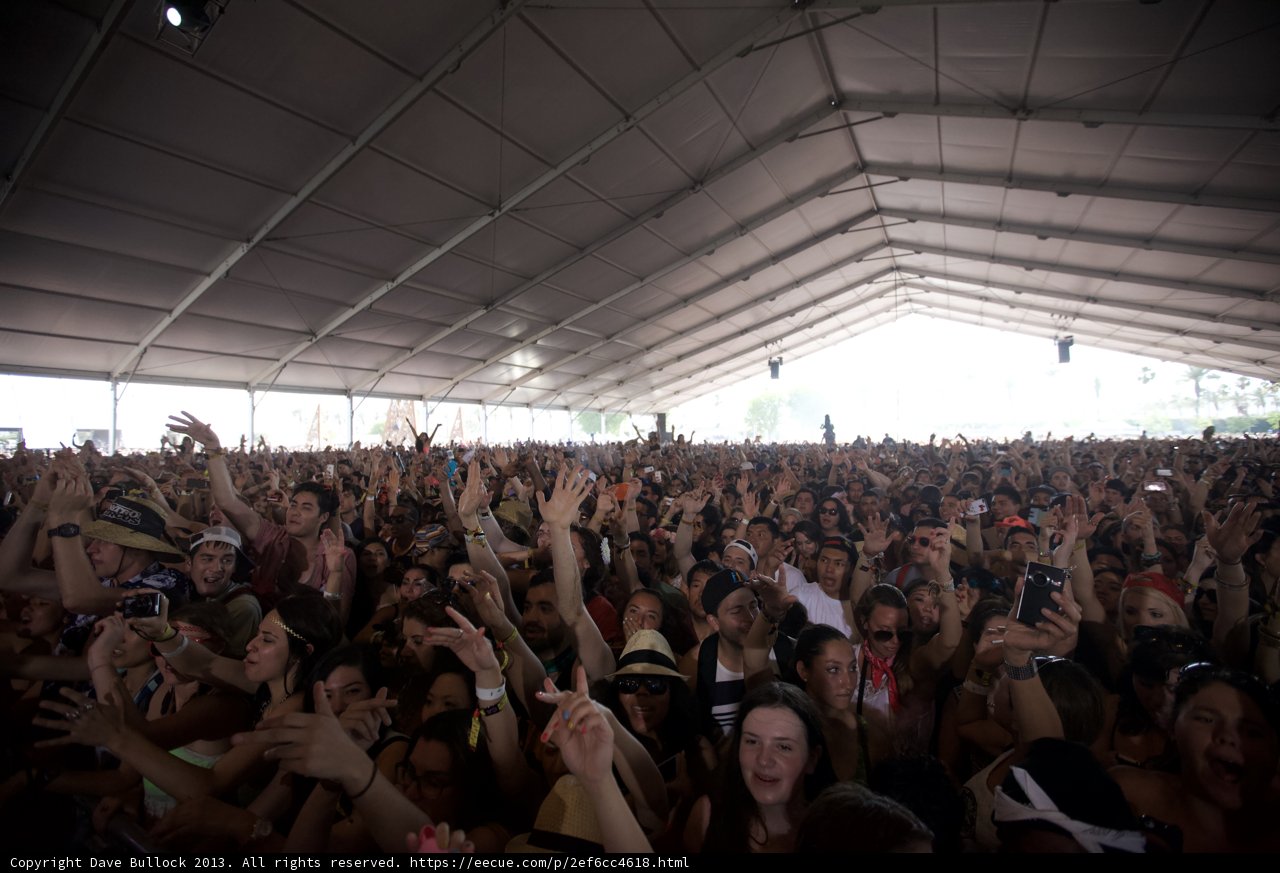 Music Festival Madness