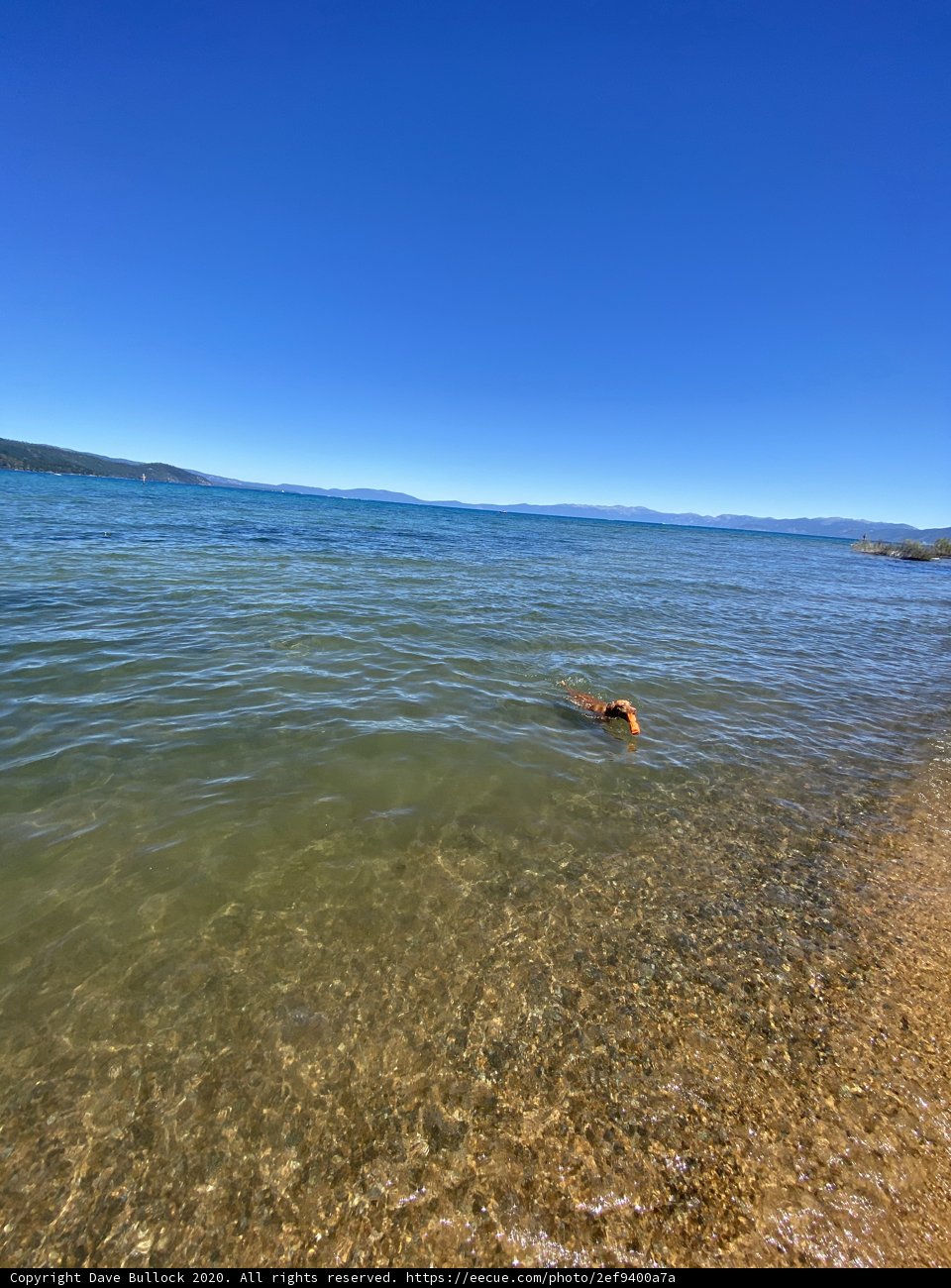 A Refreshing Sea Dip