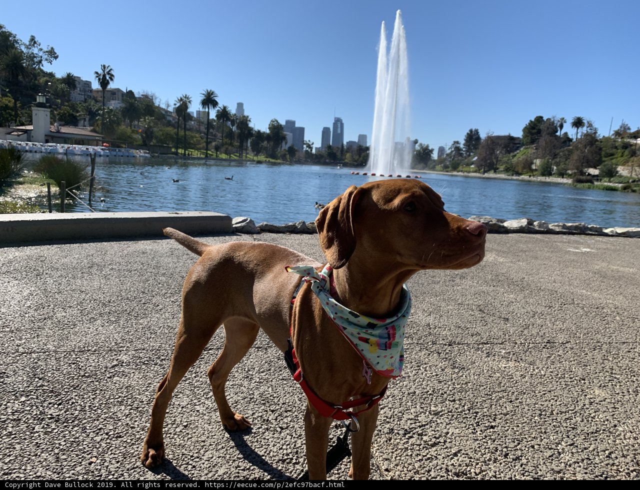 Fountain Fun