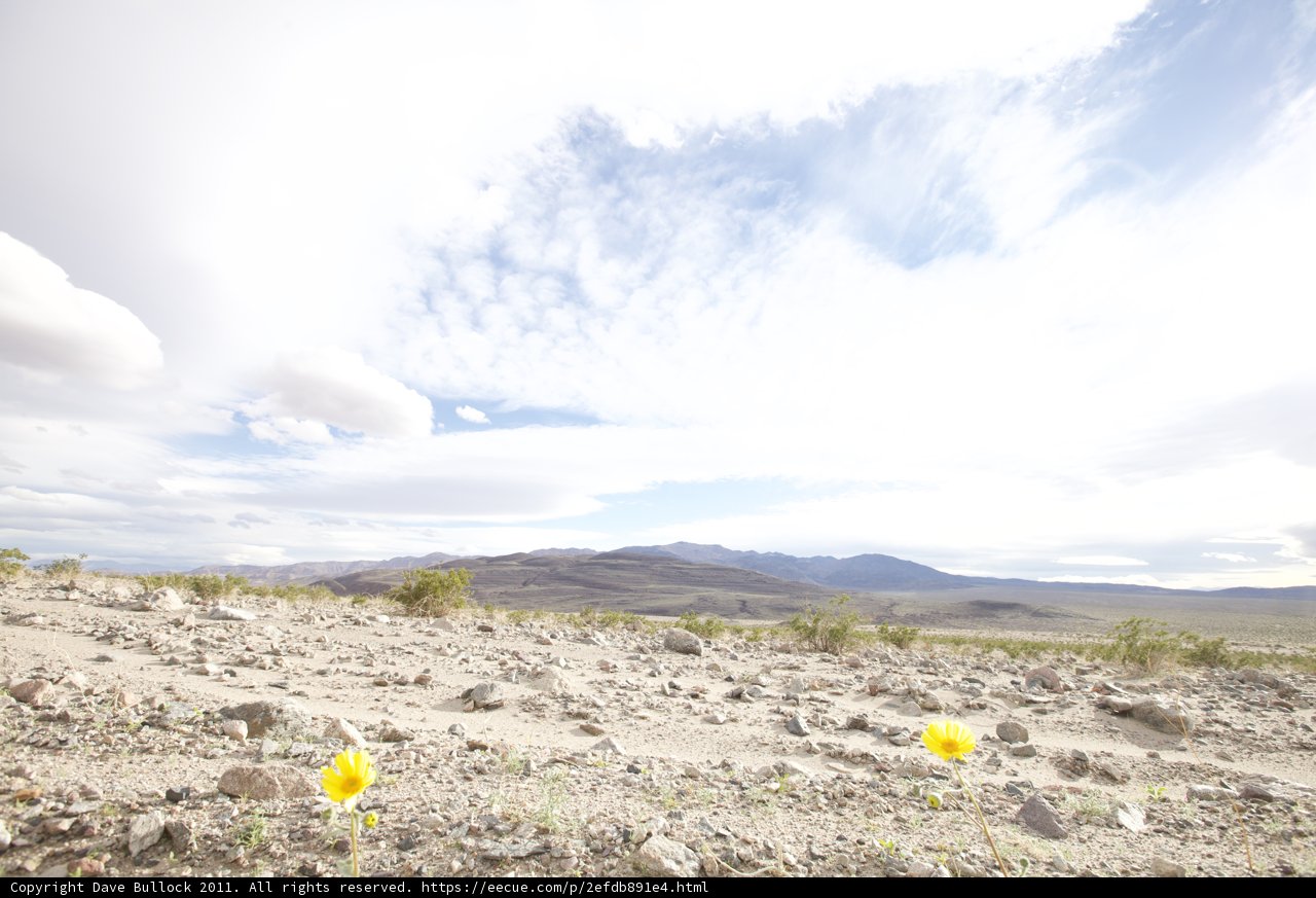 Rocky Meadows
