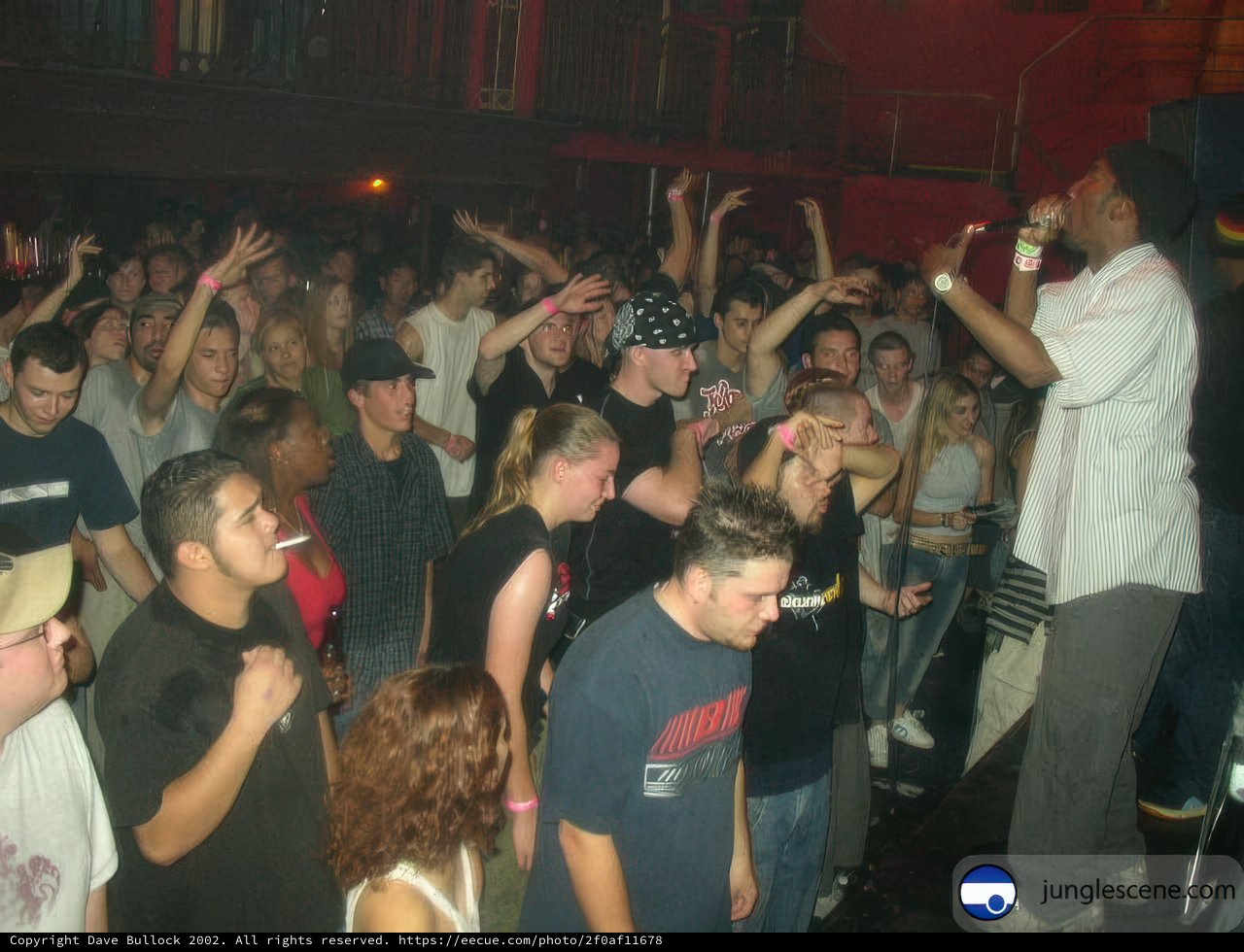 Nightclub Performance