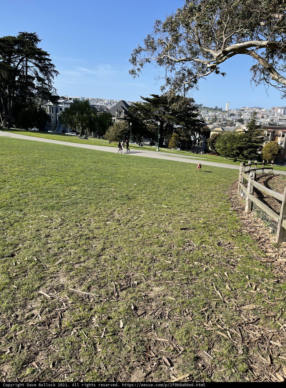 Running Free