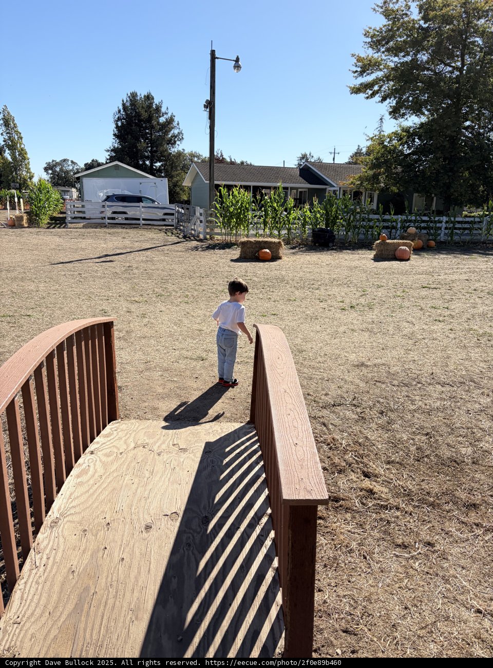 Autumn Stroll in Santa Rosa
