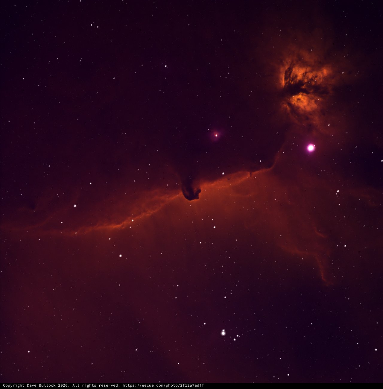Elephant's Trunk Nebula in Deep Space