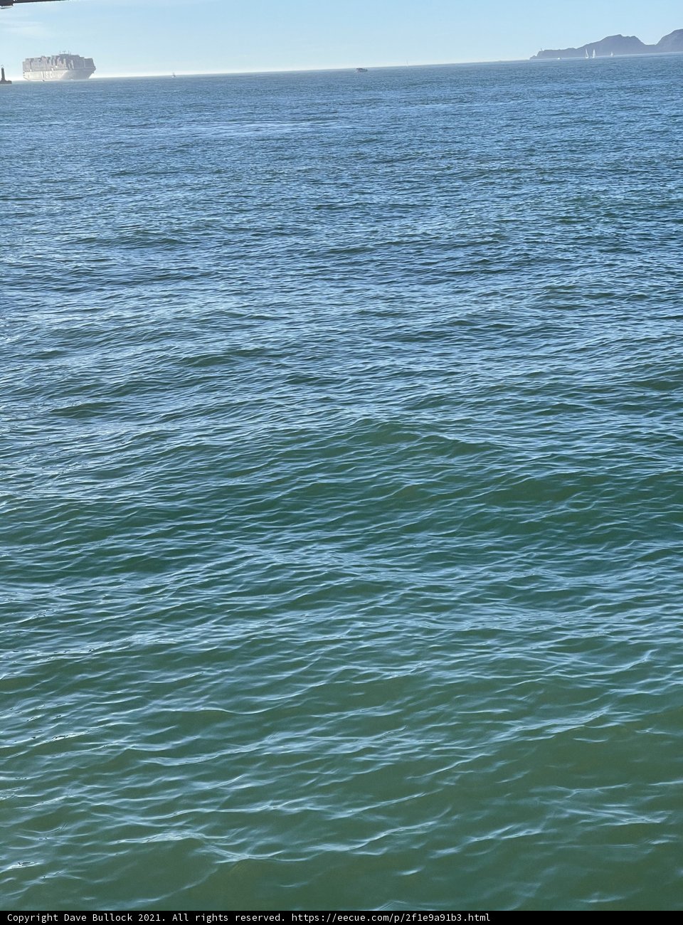 Serenity on San Francisco Bay