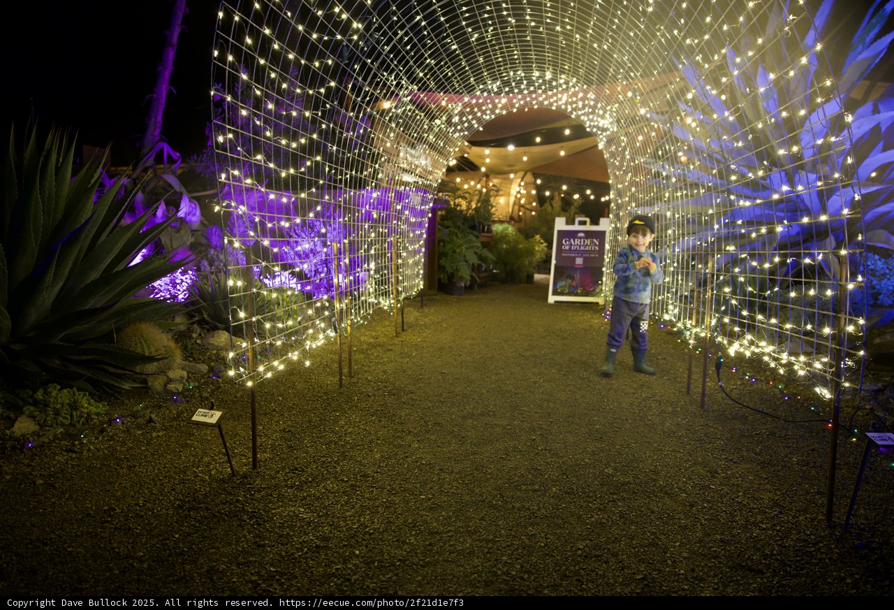 Enchanted Pathway at Garden of D'Lights