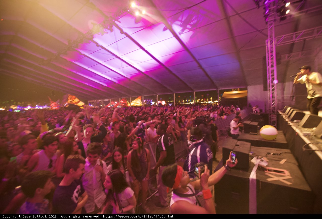 Purple Haze at Coachella