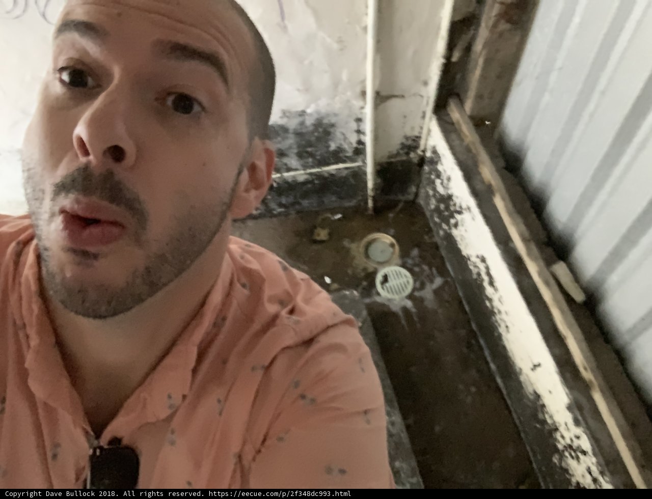 Selfie Time with Dave B