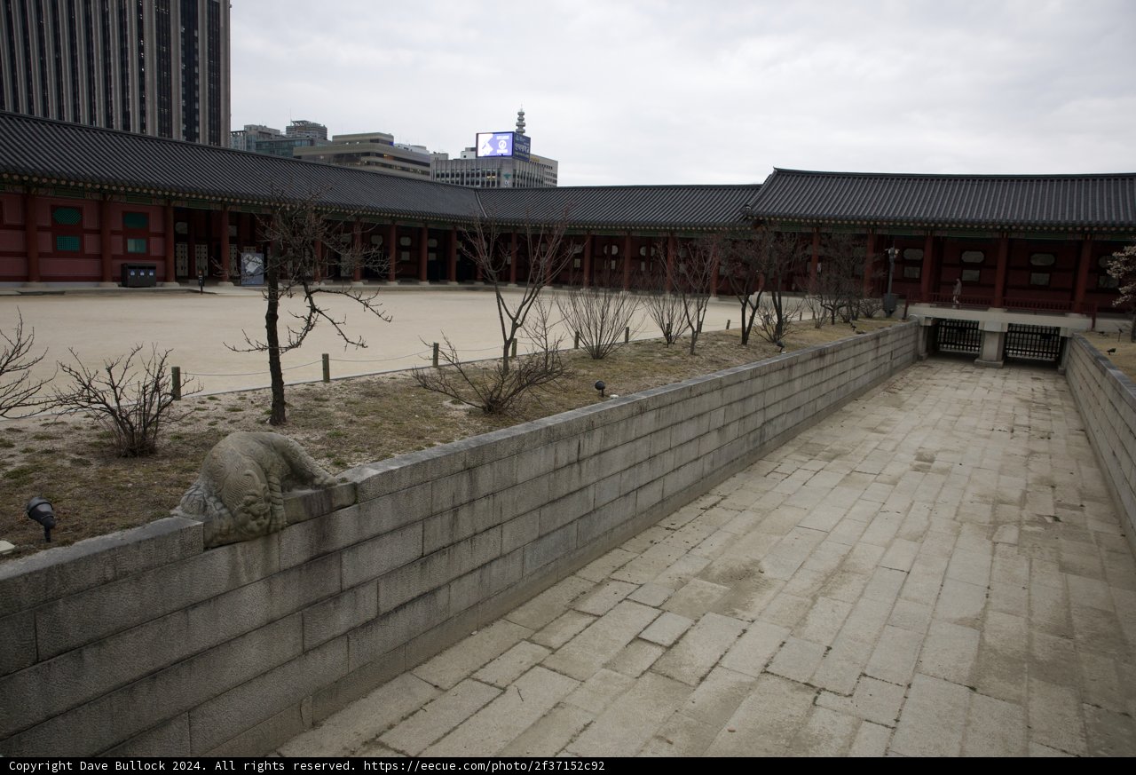 The Symmetry of Solitude Amidst Urban Vibrancy