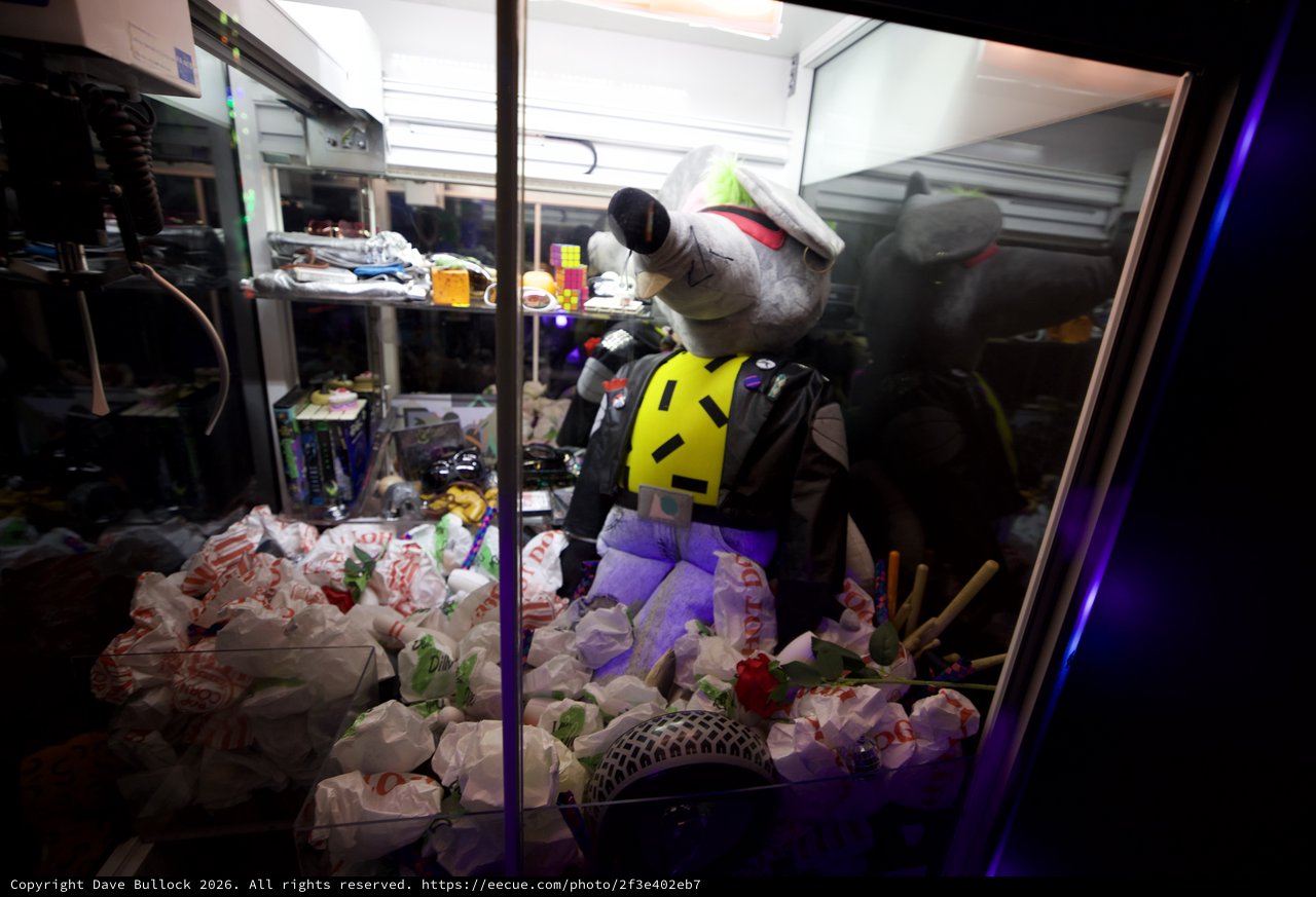 Stuffed Toy in UFO Catcher Claw Machine
