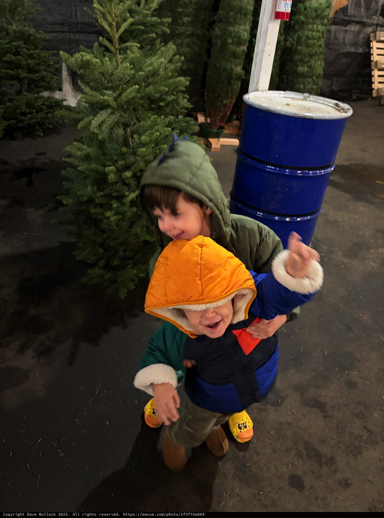 Brothers Enjoying Holiday Season at Christmas Tree Lot