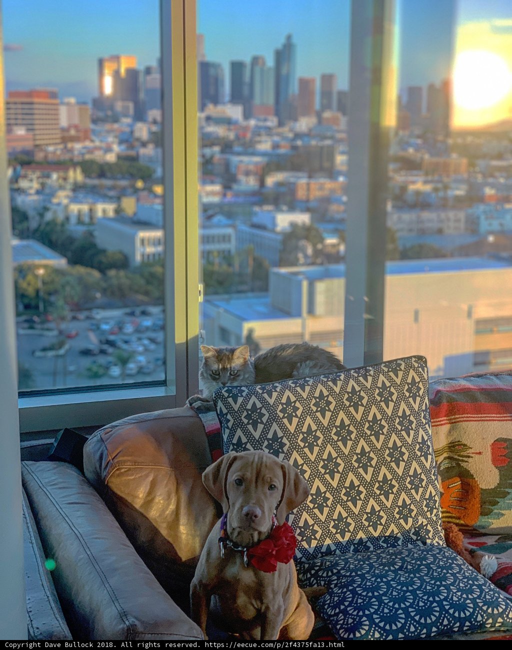 Coexisting Indoors
