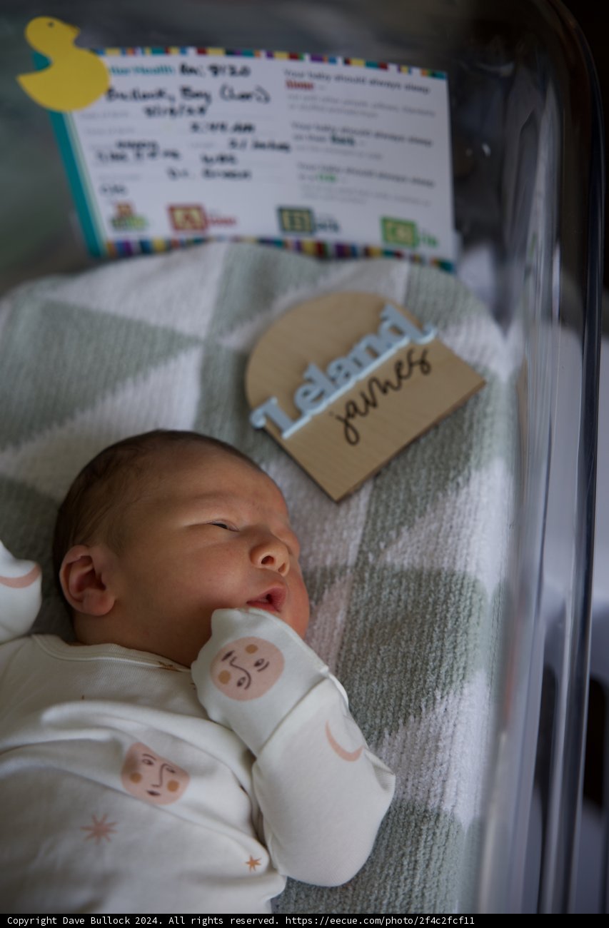 Welcome to the World, Leland