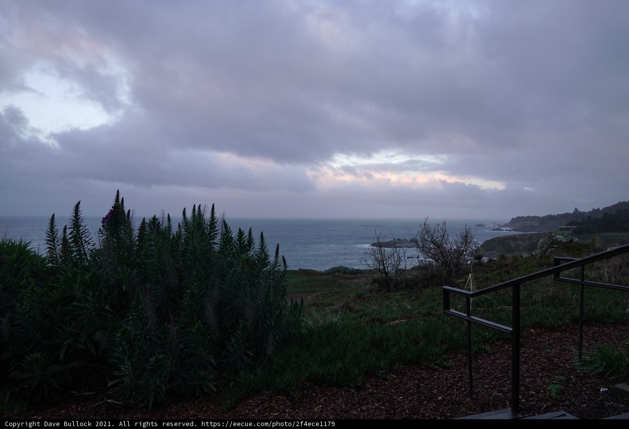 Coastal Serenity
