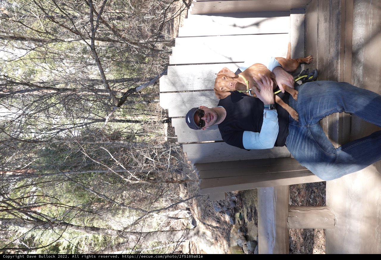 Man and Dog Relaxing on Outdoor Bench