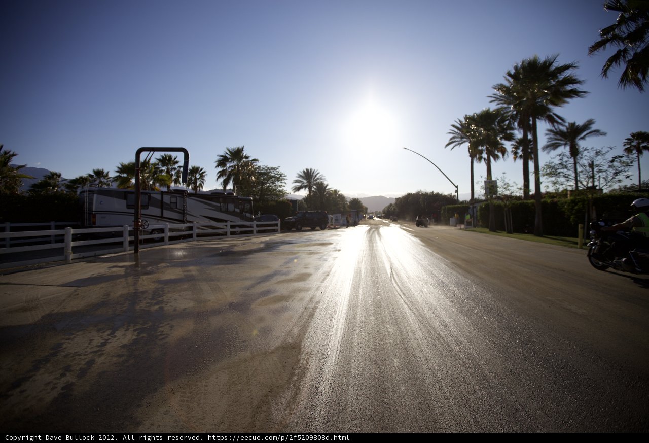 Cruising down Palm Tree Boulevard