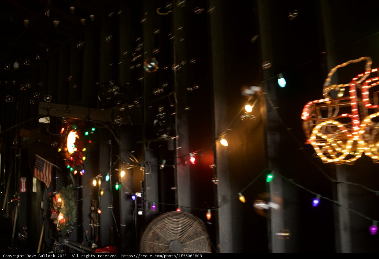 Urban Symphony of Lights: November SF Zoo Concert