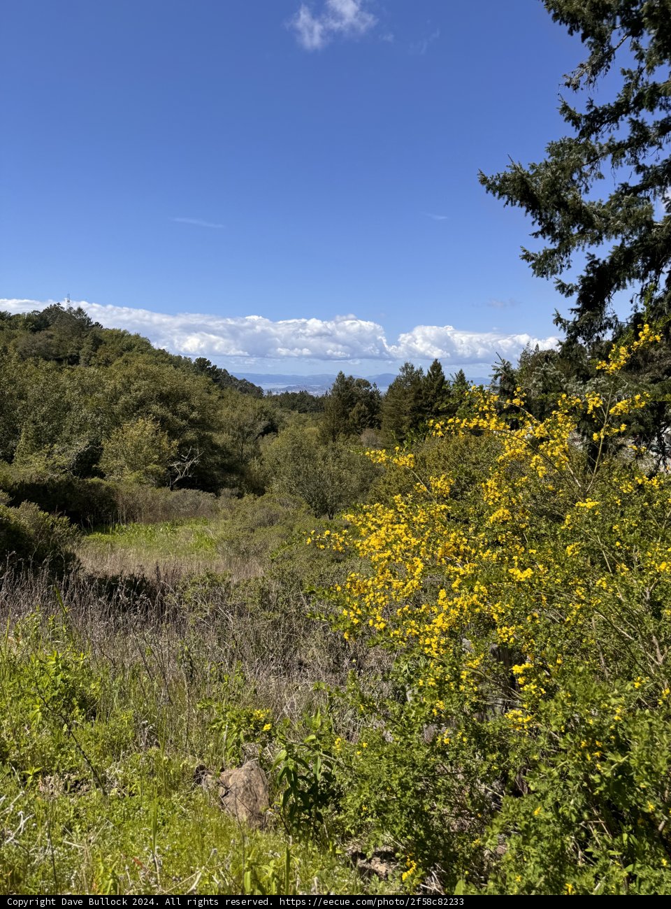 Spring Serenity in Tilden
