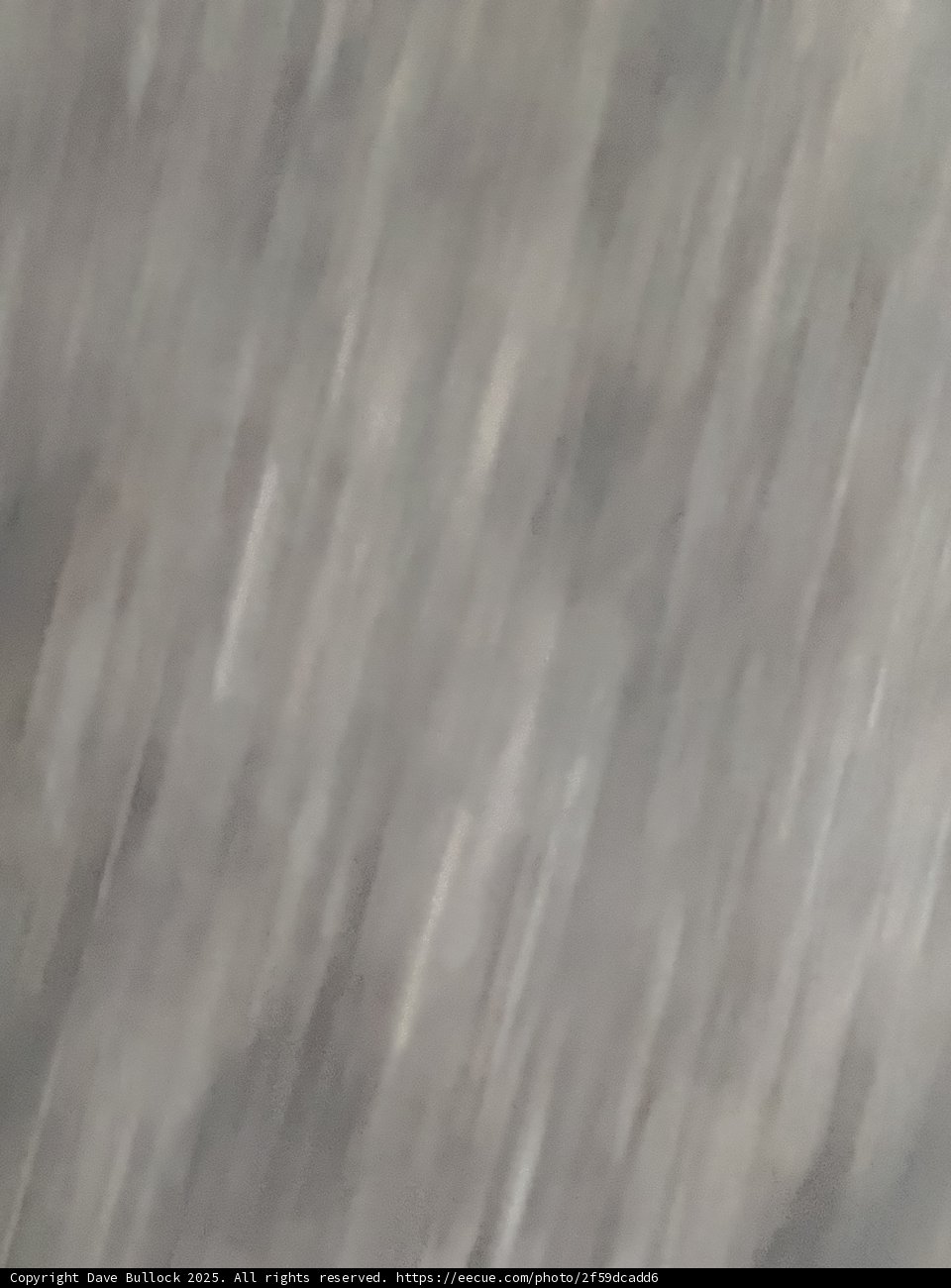 Blurred Shades of Gray