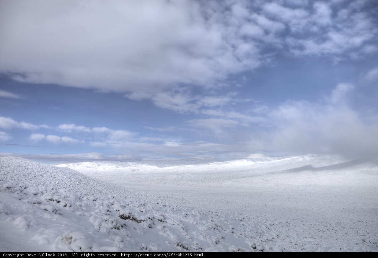 Winter Wonderland
