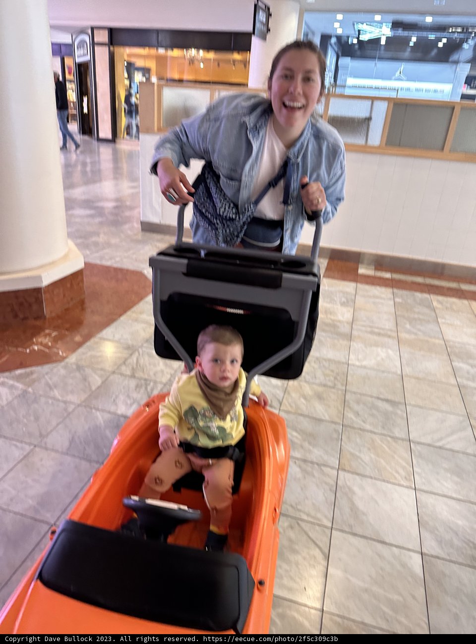 A Day Out With Wesley