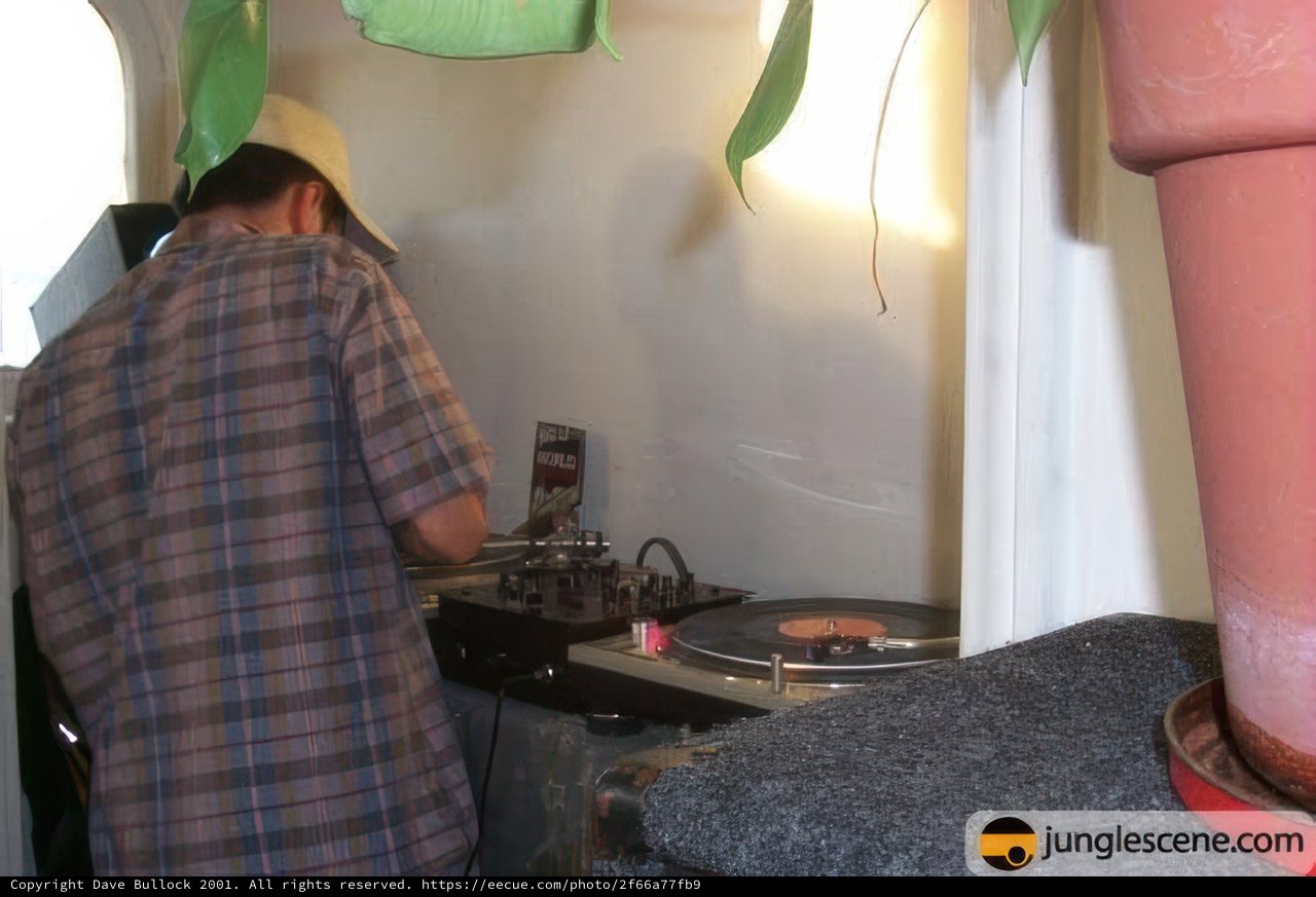 Spinning Beats in the Jungle