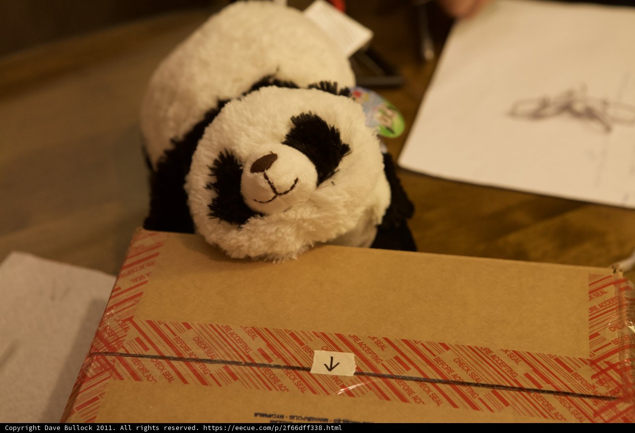 The Panda Box Guardian