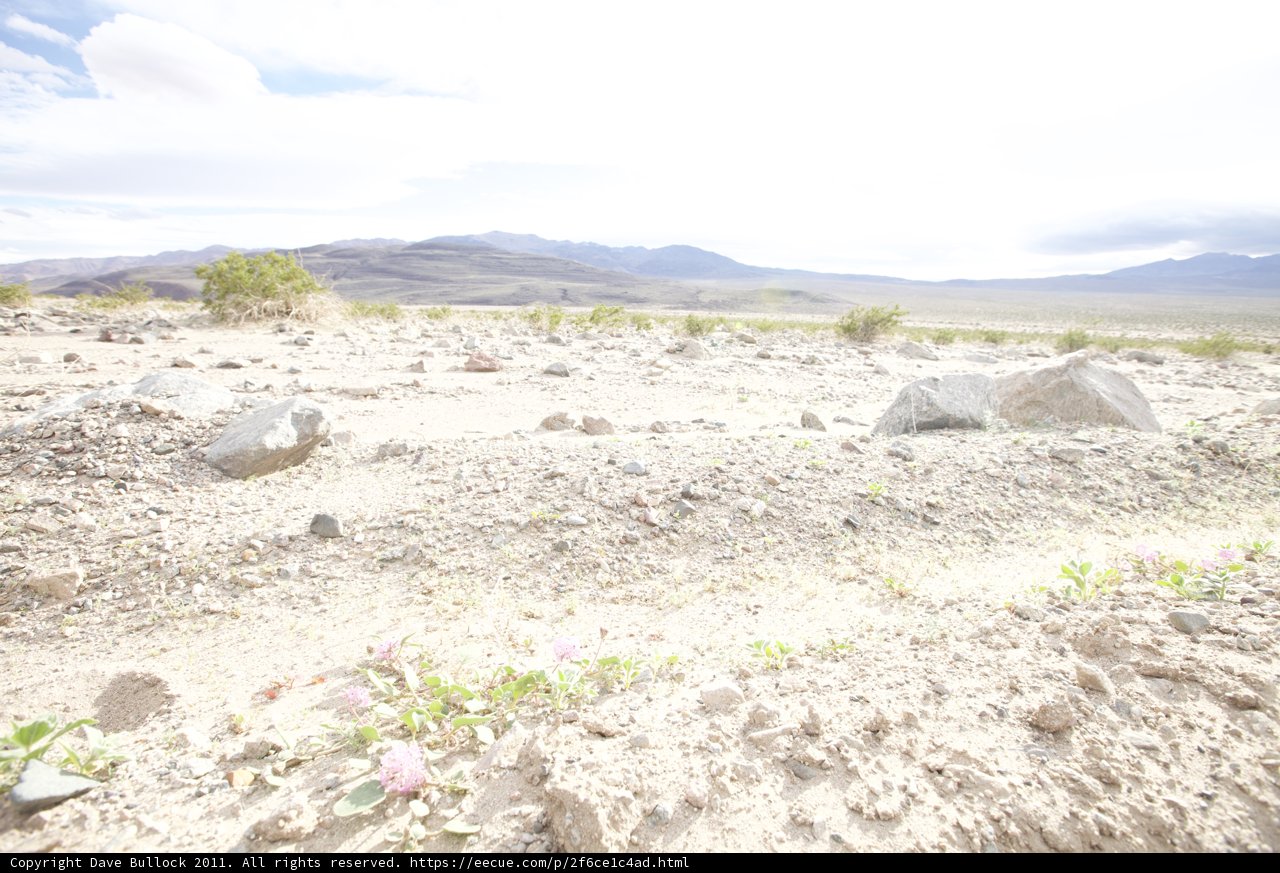 Solitude in the Desert