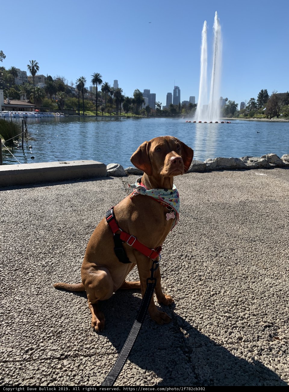 Playtime at the Fountain