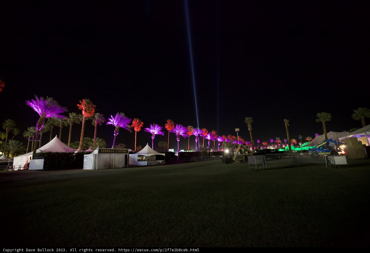 Night-time Oasis