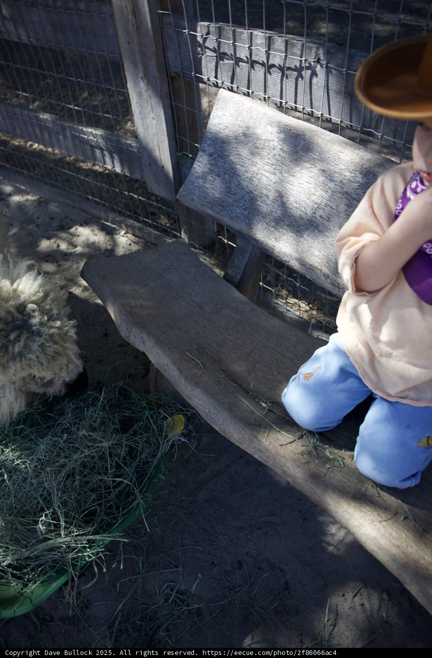 Little Rancher in Carmel Valley