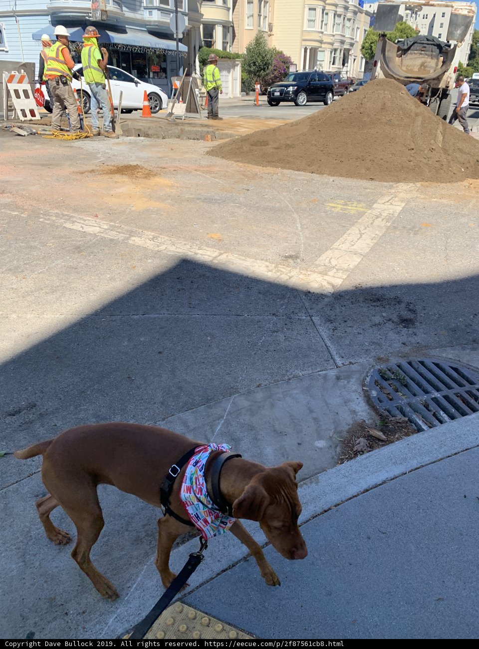 Busy Construction Walk