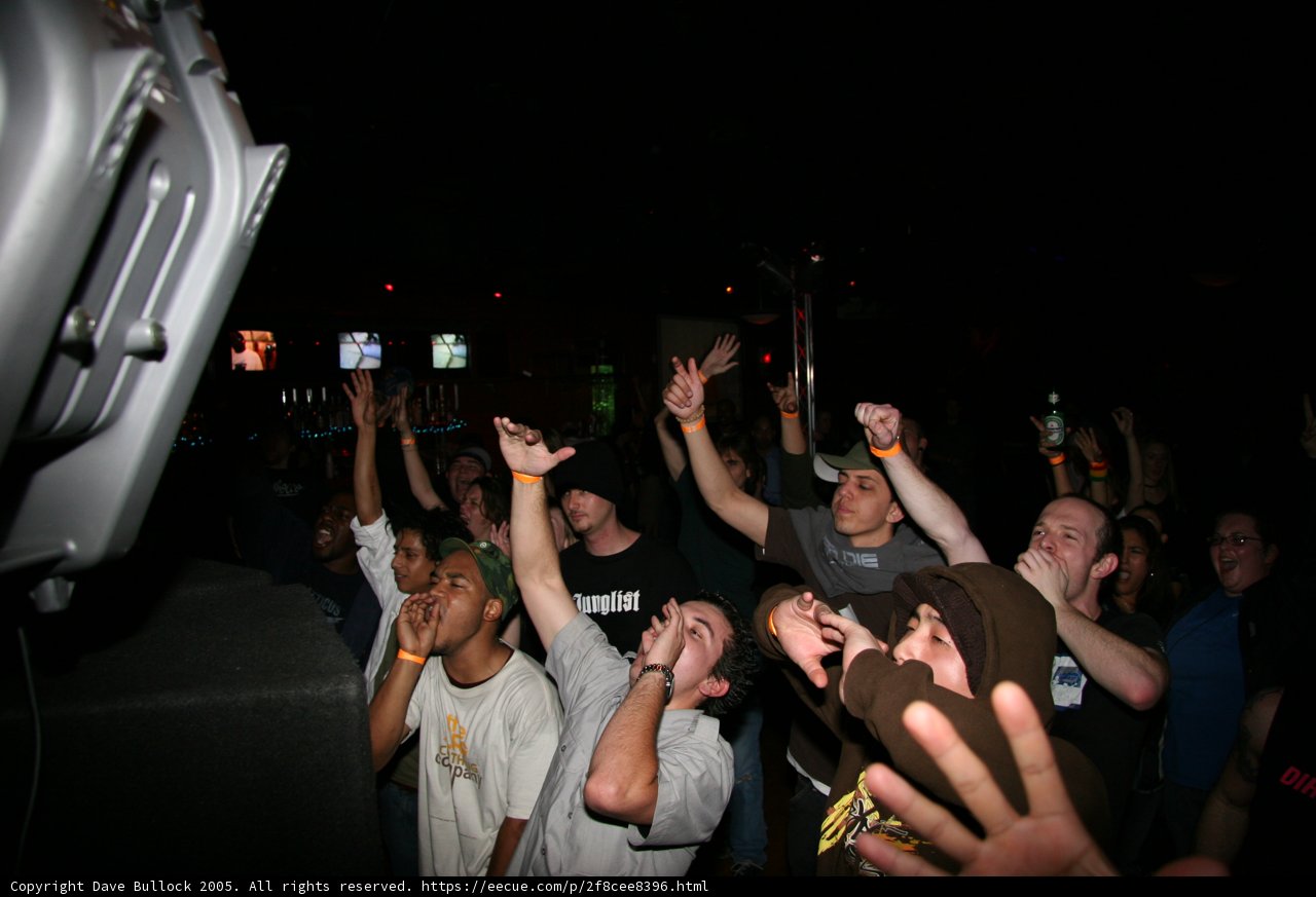 Night Club Gathering