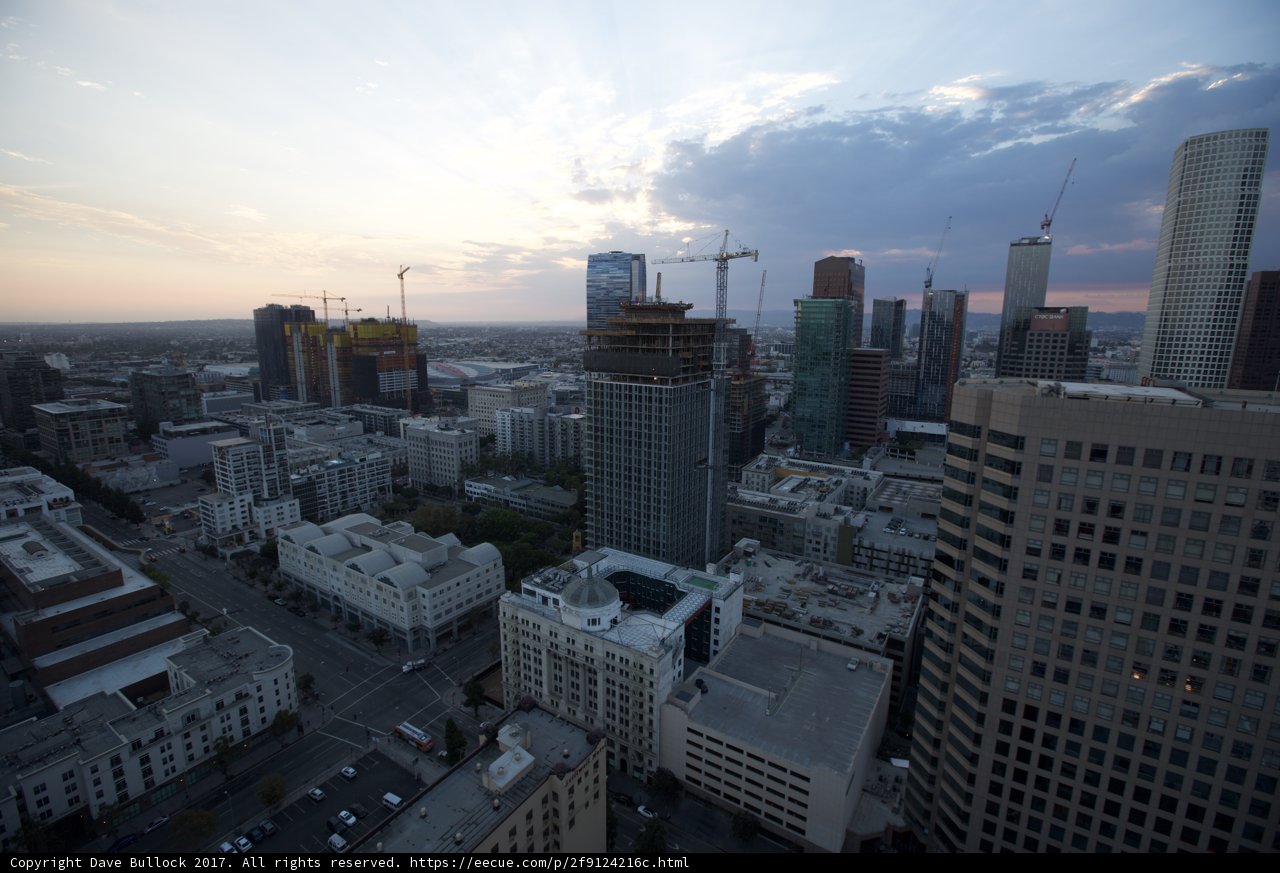 Above the Urban Jungle