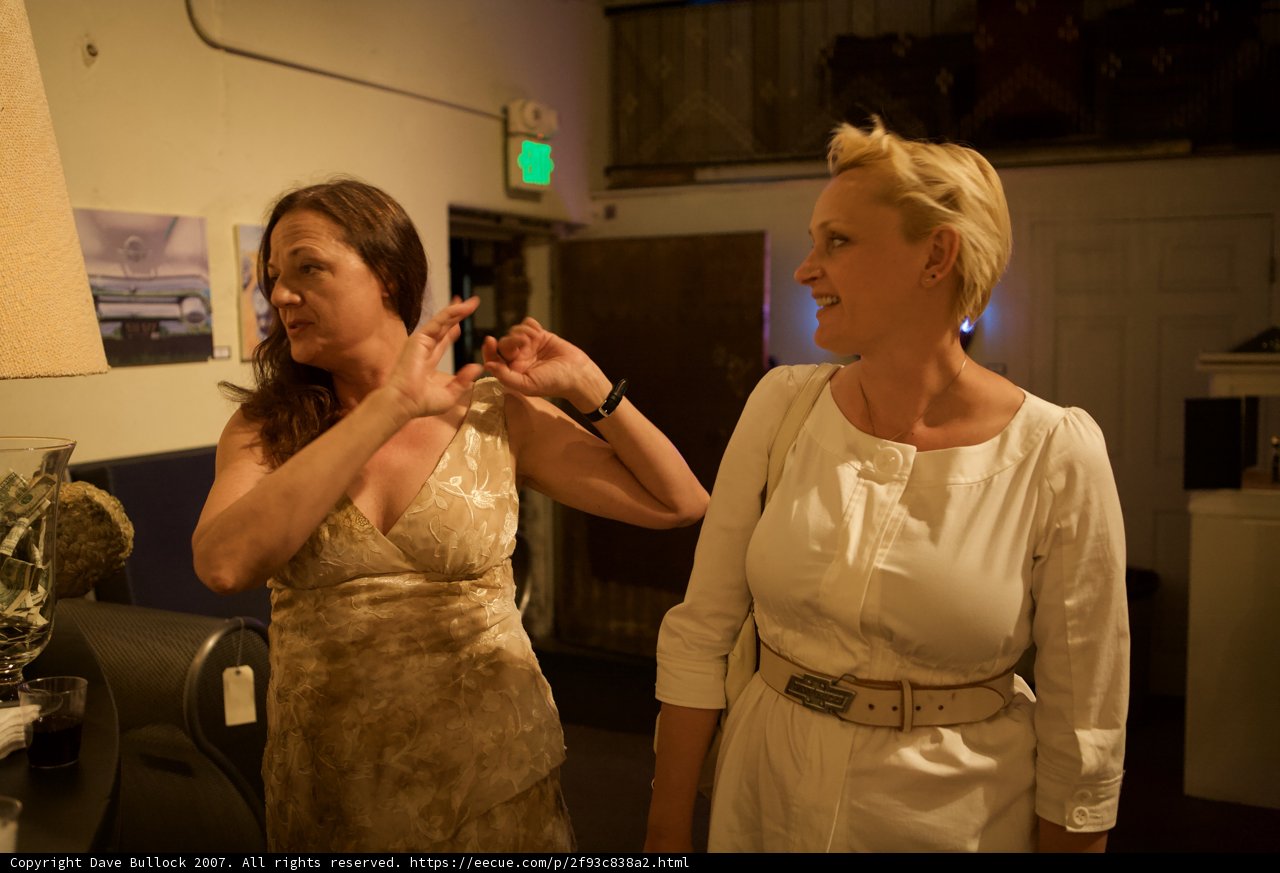 Two Women in Elegant Evening Dresses