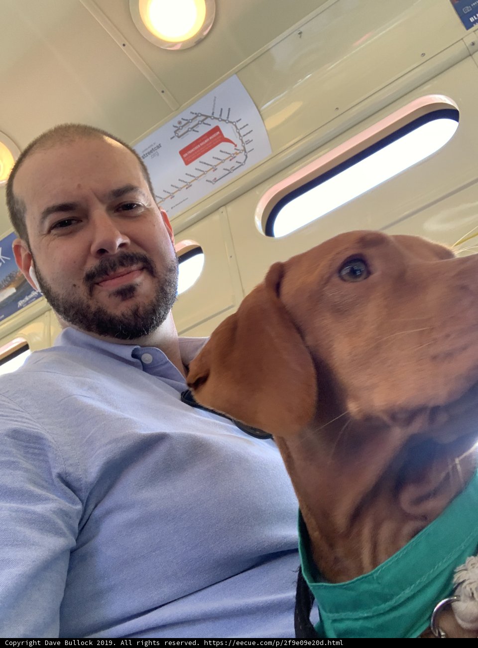 Train Buddies
