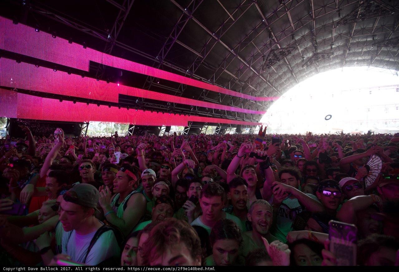 Pink Lights and Rockin' Crowds
