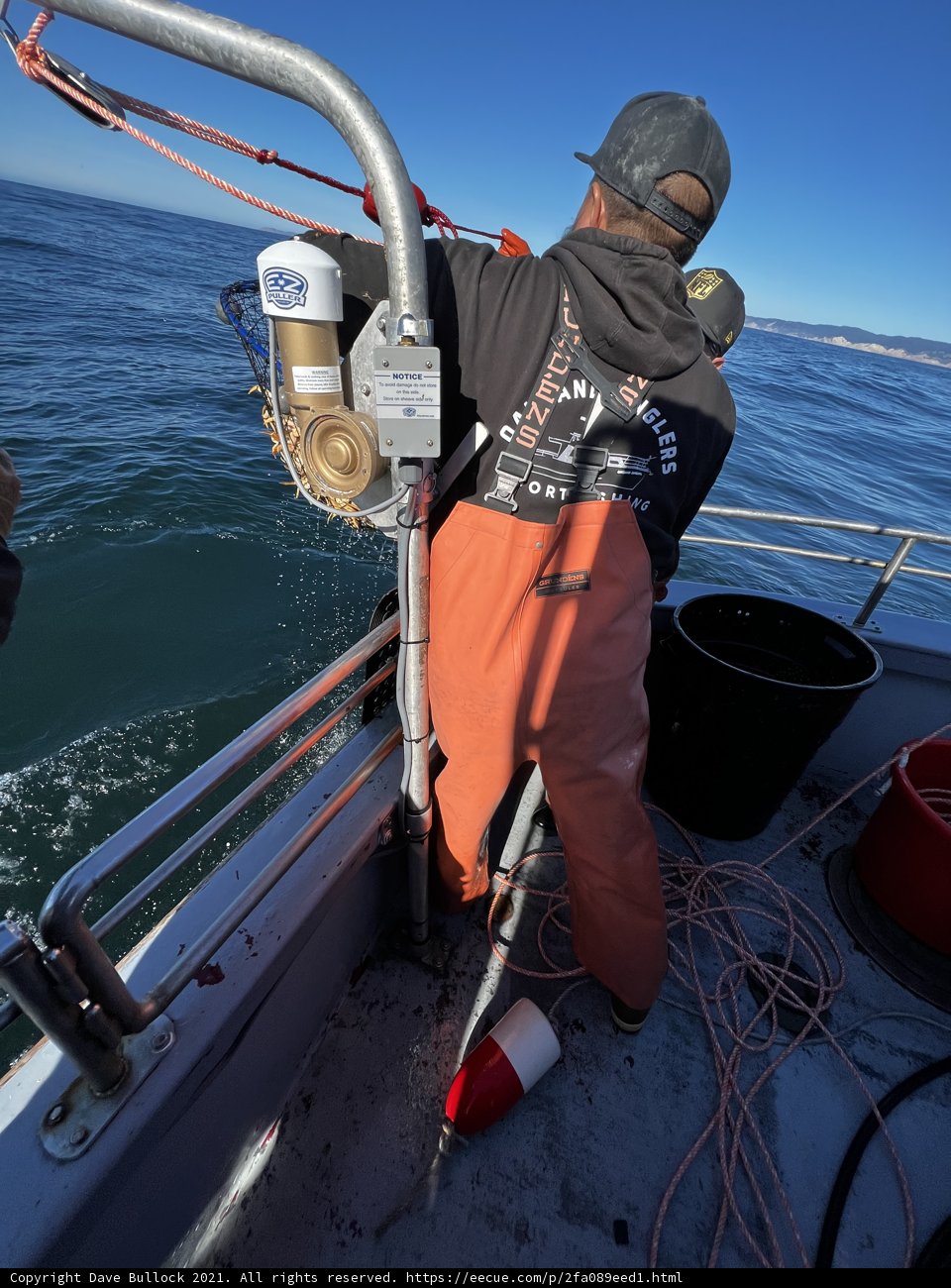 Coastal Fishing Adventure