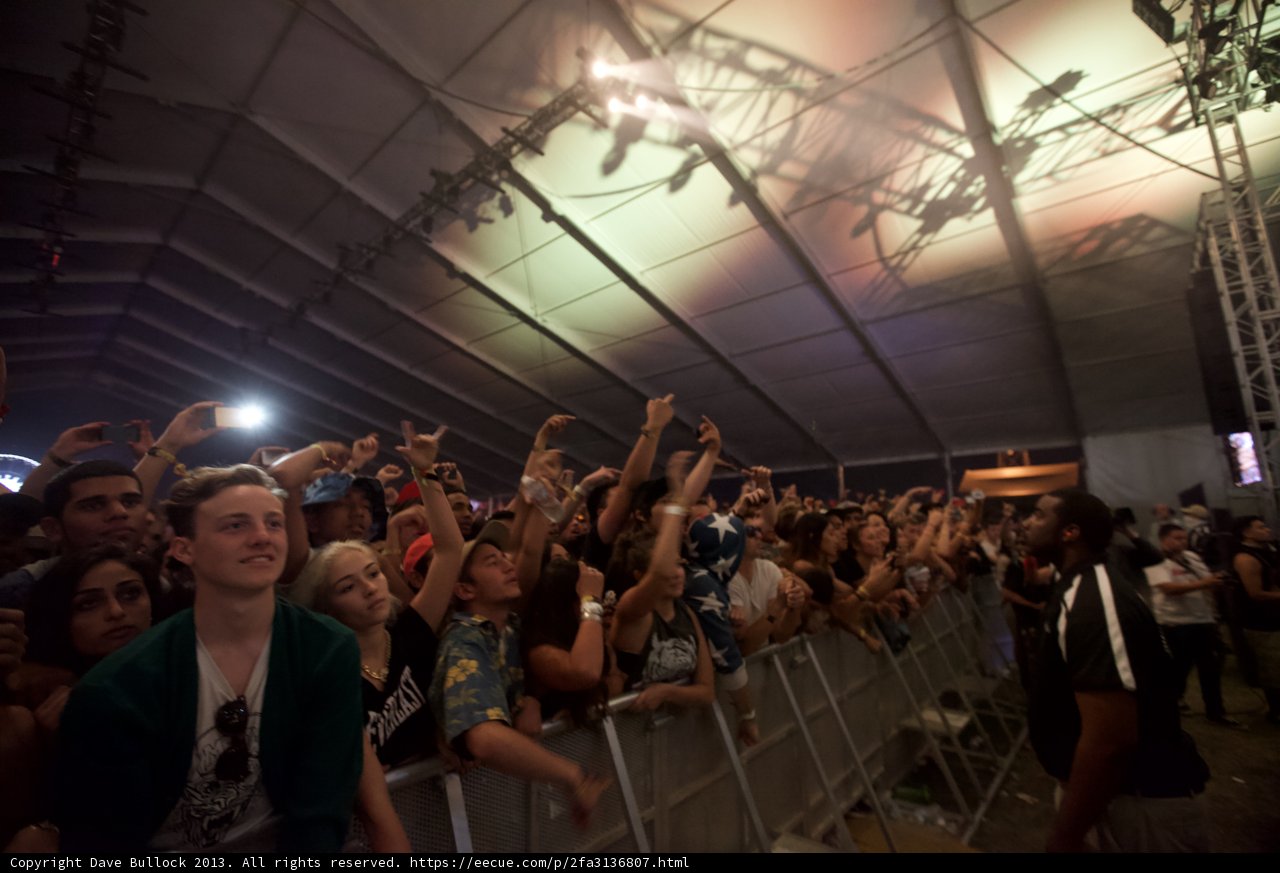 Crowd Excitement at Coachella Concert
