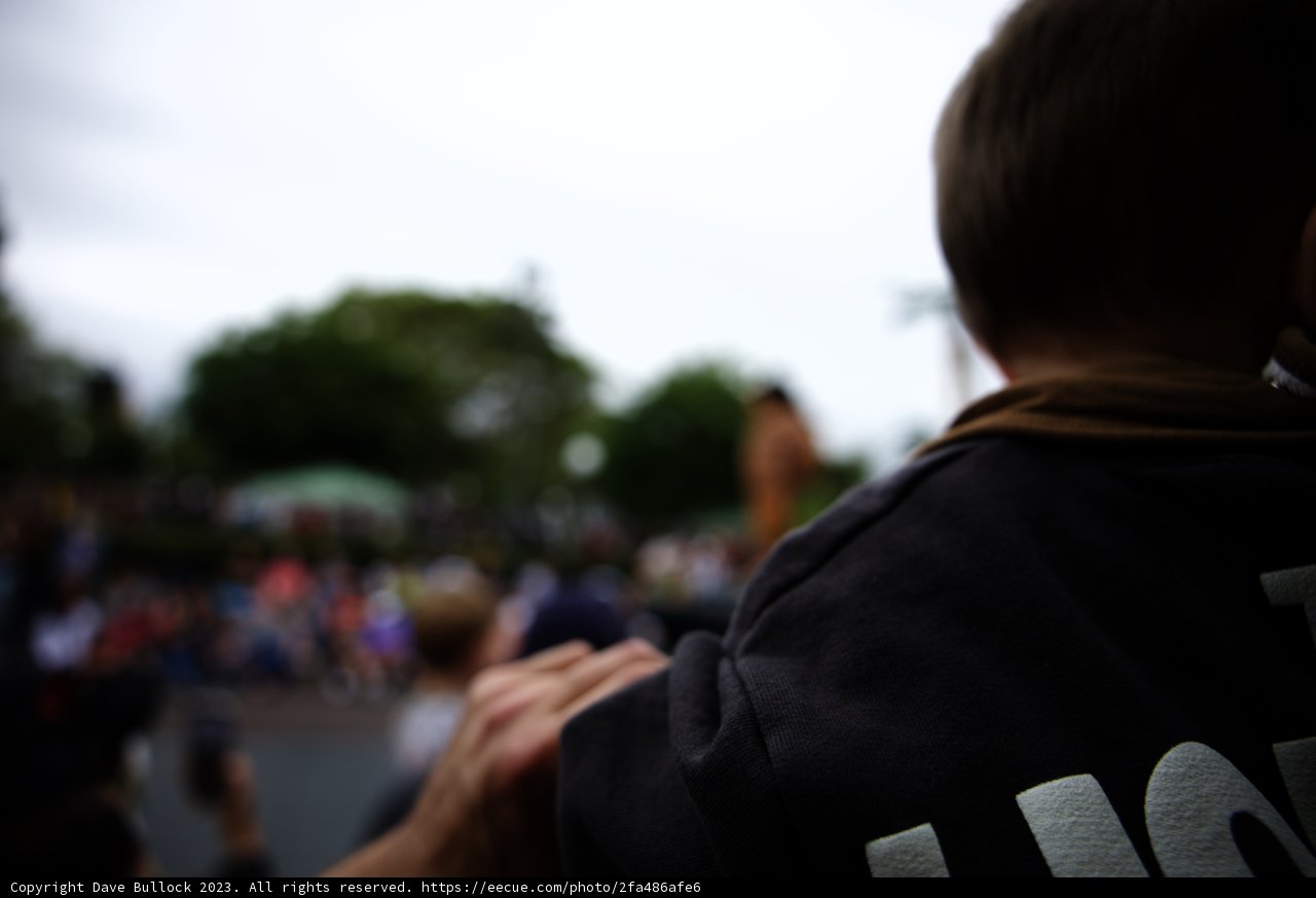 A Memorable Father-Son Moment at Disneyland