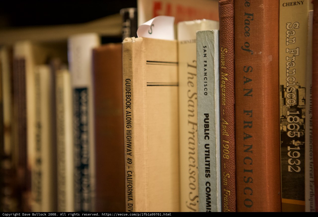 A Row of Publications on a Library Bookshelf